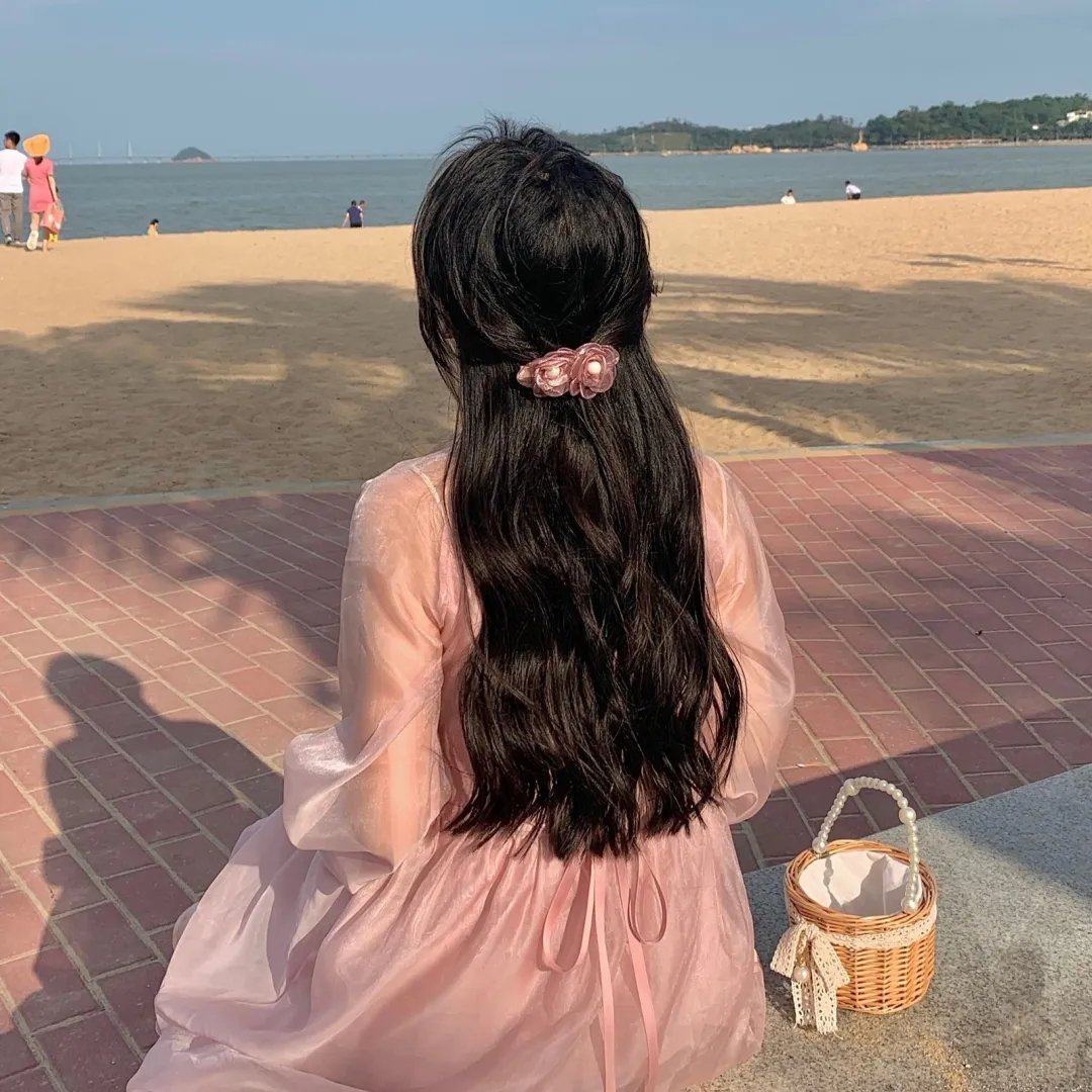 锦囊妙录